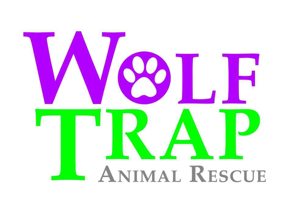 SAI Engineering Incorporated